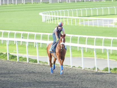 MaryJoTrotter's tweet image. #mainsequence looking happy this morning with Alice. @grahammotion