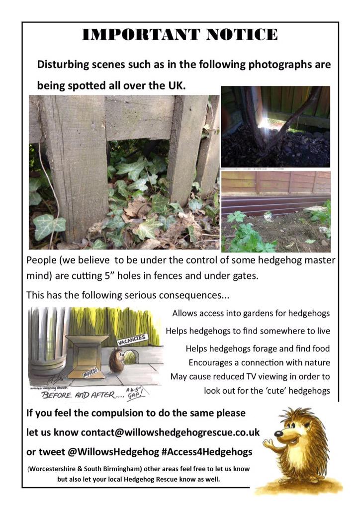 Lunar2822's tweet photo. #hedgehogs are waking up! Make a hole in your fence, put out water and meat based food or get a hog house #helpHogs http://t.co/GyRwLYekel