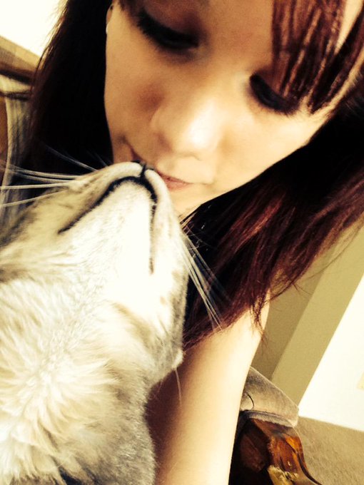 Kitten kisses =^&bull;^=💋💋 http://t.co/miSWVcF9Fk