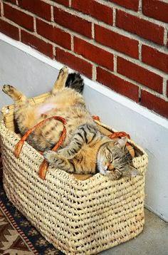 Helge Steiner (@helgesteiner) on Twitter photo 