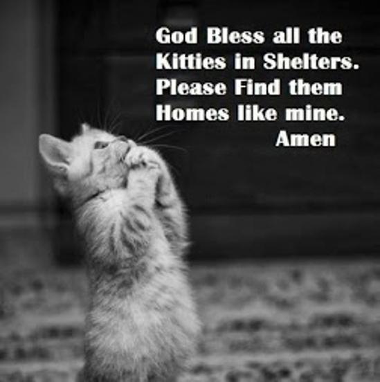 Helge Steiner (@helgesteiner) on Twitter photo 