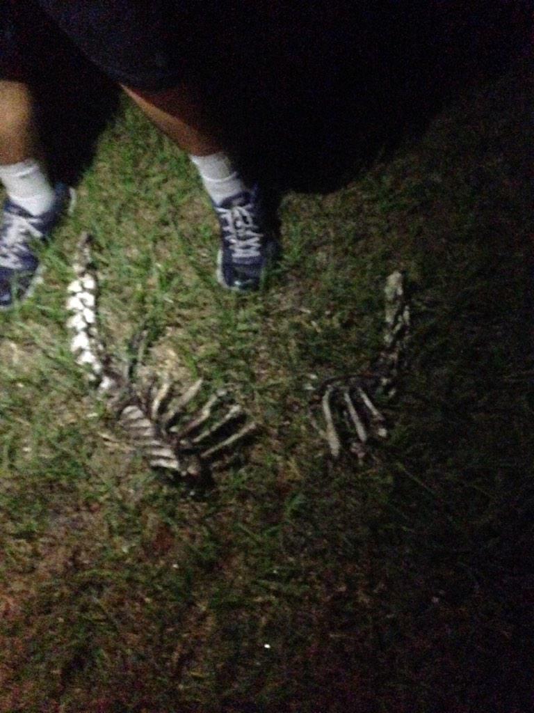 coltong217's tweet image. Squatchin hardcore. #theboneyard @SamNewlon @McCurninMitch @JarrodFinora @dianadenverr