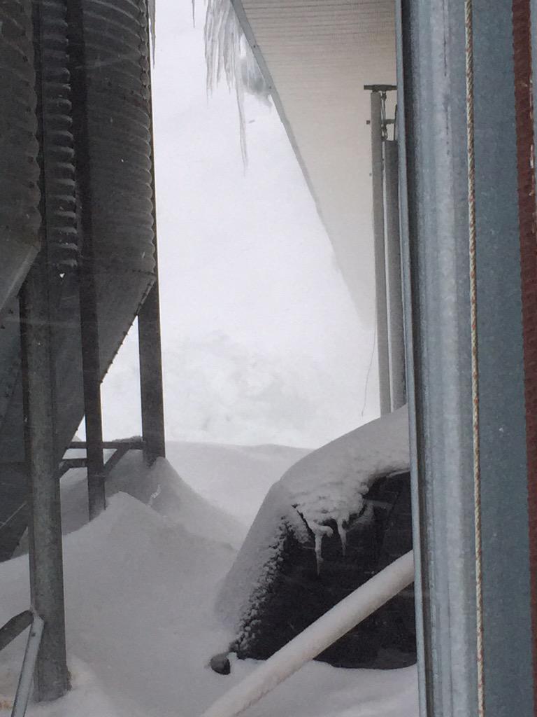PureHolsteins's tweet image. Snow just all slid off one side of barn. It's about 12' high for 250 feet of barn.