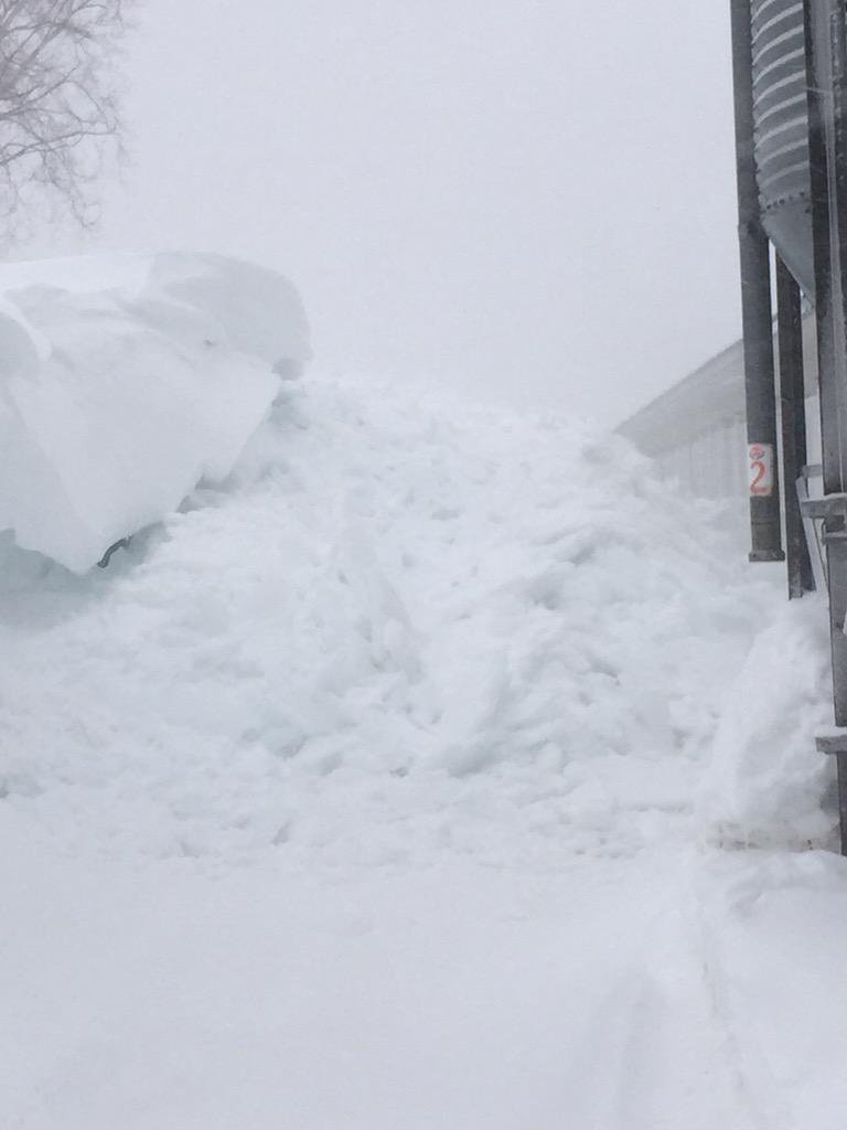 PureHolsteins's tweet image. Snow just all slid off one side of barn. It's about 12' high for 250 feet of barn.
