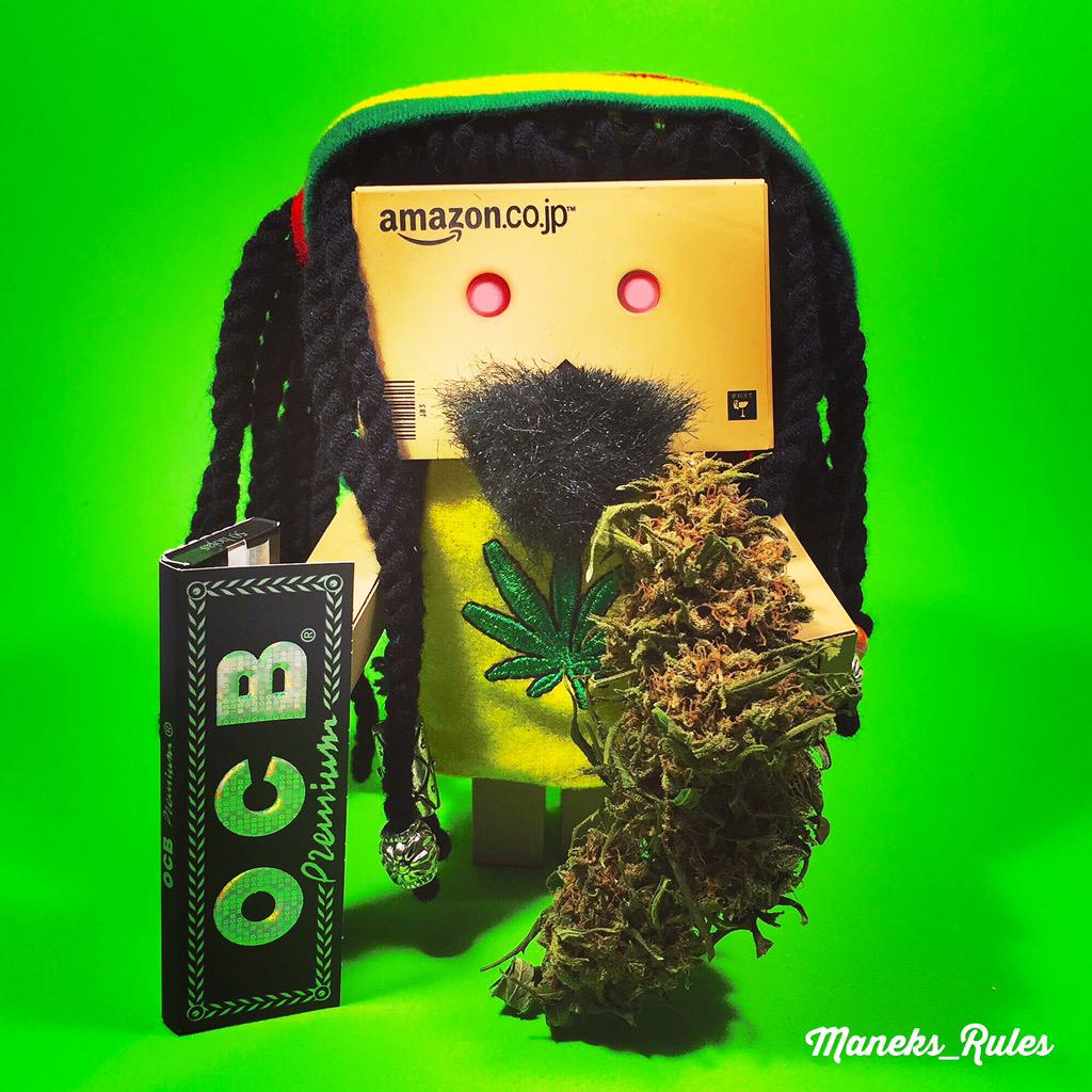 Maneks_Rules's tweet photo. ❤️💛💚 Weed morning 💚💛❤️ || #toyphotography #danbo #marihuana #weed #marijuana #toys #funny #maneksrules #LEGALIZACION http://t.co/RRPMUEPQ4u