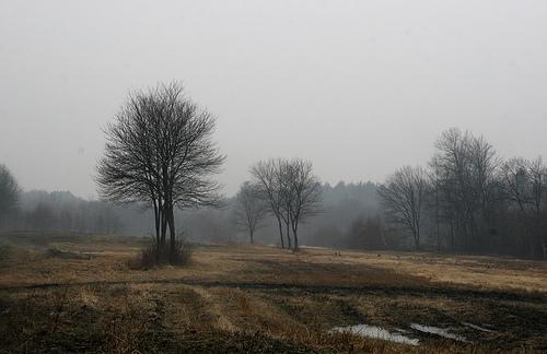 FallenAgainAnna's tweet image. my grace. Okay time was wasting better find out who called for me and why
#OpenRP  #Annasreturn