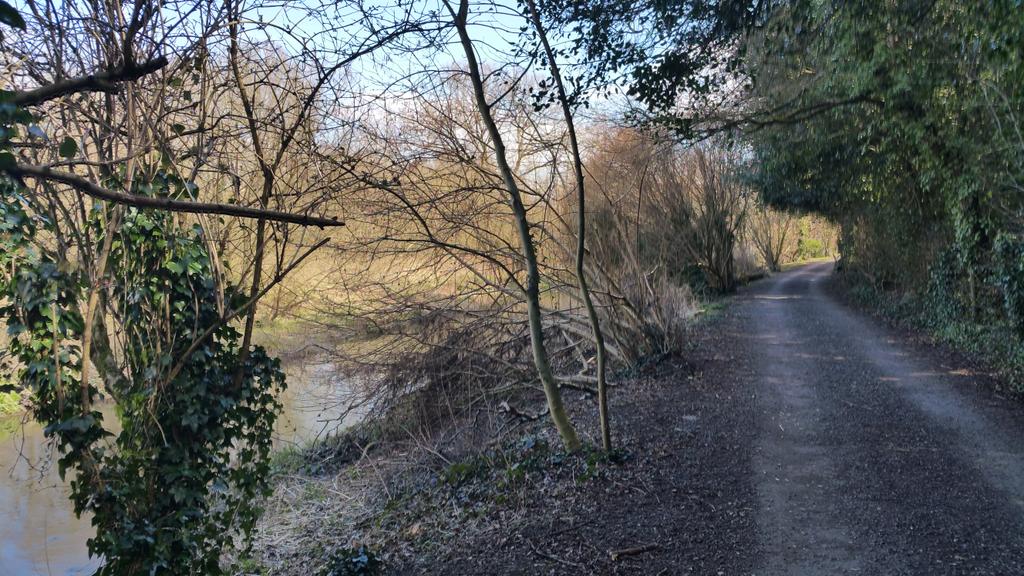 allspecialneeds's tweet image. Just set off on 20 mile trek over North Downs Way. Just two weeks to go until #SouthWest630