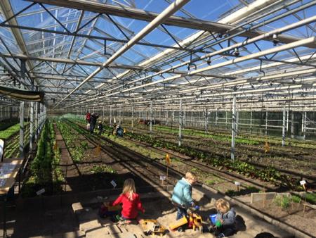 Enkele 2 weken oogsten we hier onze groenten! #denieuweakker