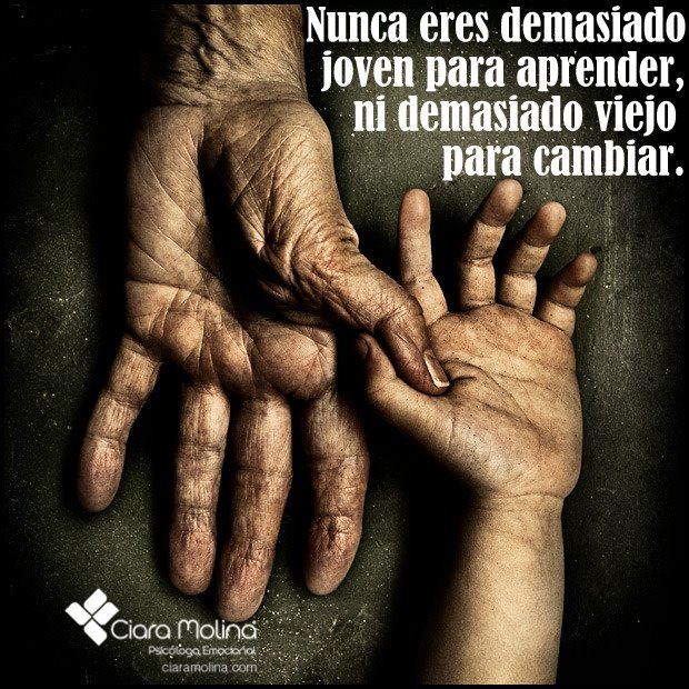 PsicoEmocional's tweet photo. ¿ESTÁS DE ACUERDO?... http://t.co/fvBrMe6kHP