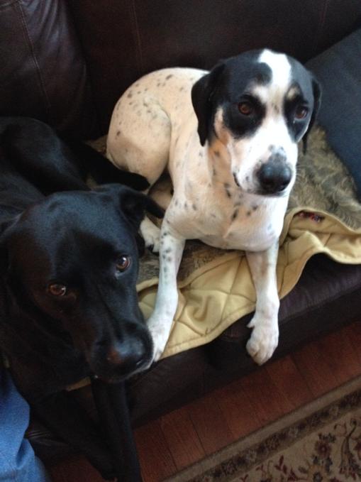 Marianne Romans tweet media