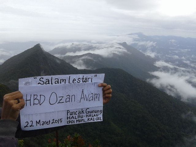 Download 470 Gambar Gunung Halau Halau Terbaik Gratis