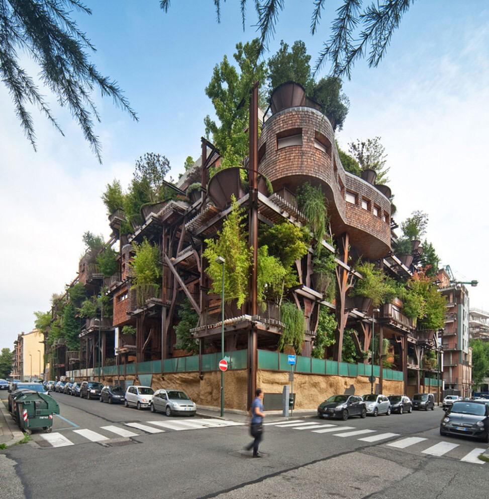 Şehirli Bir Ağaç Evin Dikey Orman Kurgusu iyikafa.com/sehirli-bir-ag…