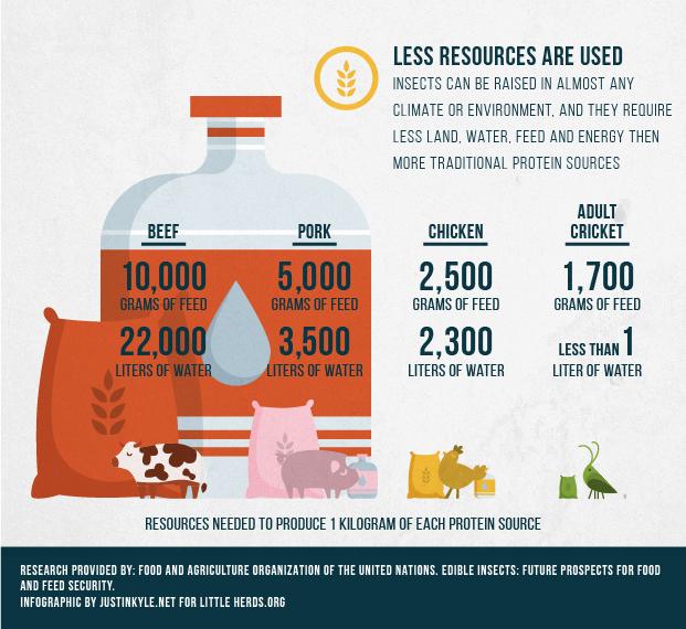 EatBugsDetroit's tweet photo. It's #WorldWaterDay.  Check out the sustainability of cricket protein!  Image: @LittleHerds http://t.co/myPSSh72P9
