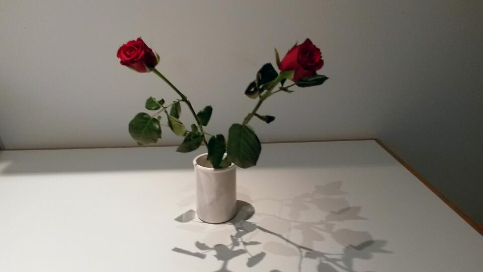 Battle_Marco's tweet photo. Il regalo più bello di ieri #Most #Giack http://t.co/FHwsq9777m