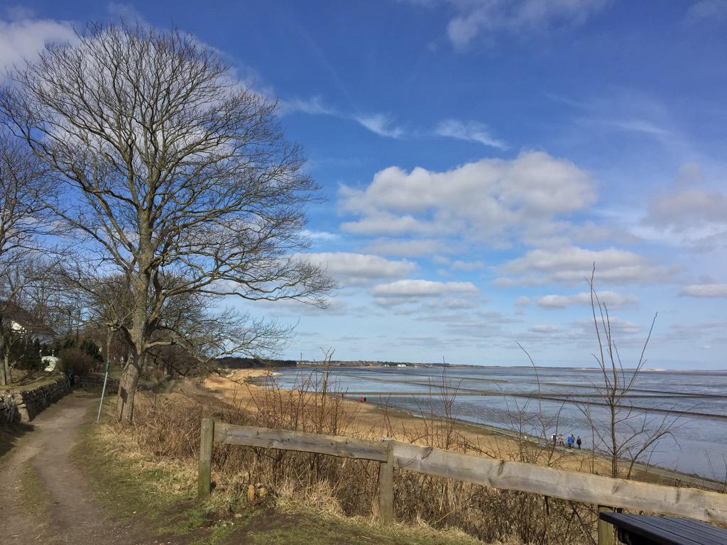 Sylt tweet media