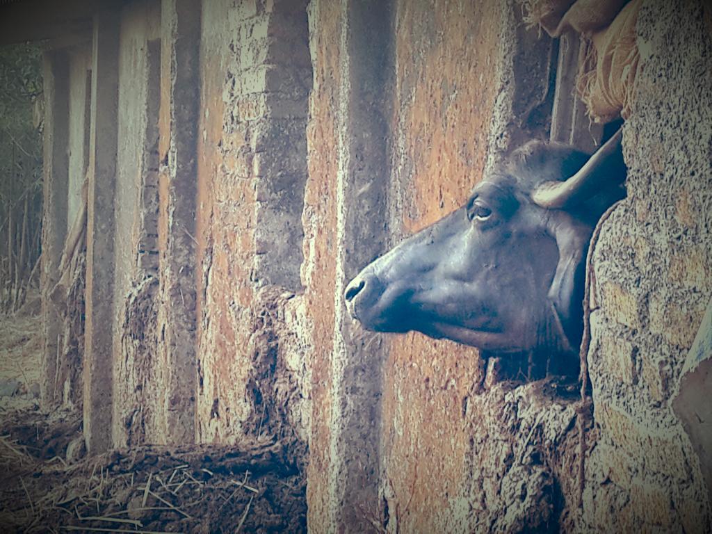 Jishwin's tweet photo. #tp #photography #samsungs4 #Mumbai http://t.co/JlPxRWIVib
