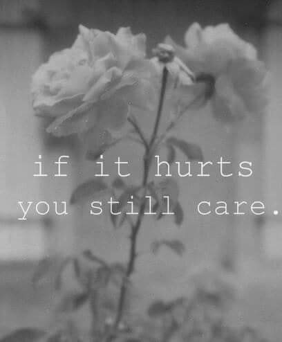 surviving98's tweet photo. http://t.co/Po9iQOT6bL