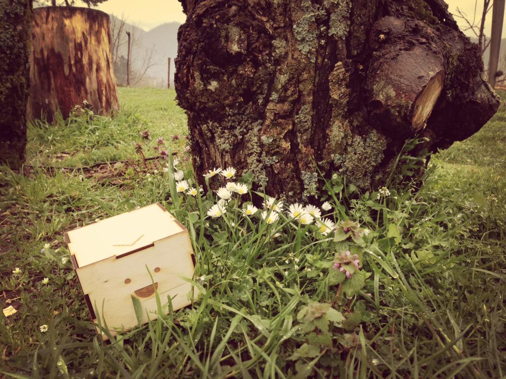 RuralHub's tweet photo. Finito il pranzo #cubetto torna nel prato :) lo seguiamo per le lezioni di #agricoltura #coding e #robotica ;) http://t.co/yIKXTvlHfD