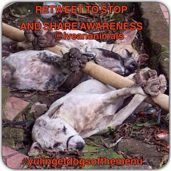 debbiedoo22's tweet image. Please RT.                        #yulingetdogsoffthemenu