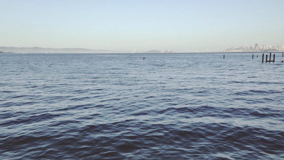 LightBoxr tweet media