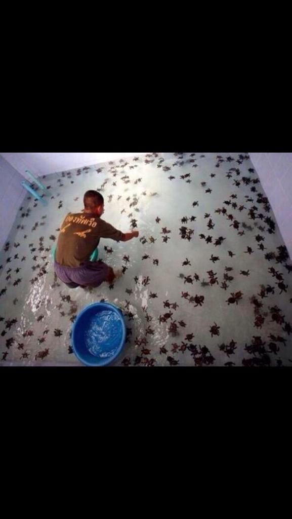 thischicktweets's tweet photo. *what do you want to do when you grow up?* http://t.co/hdzD1gzHGl