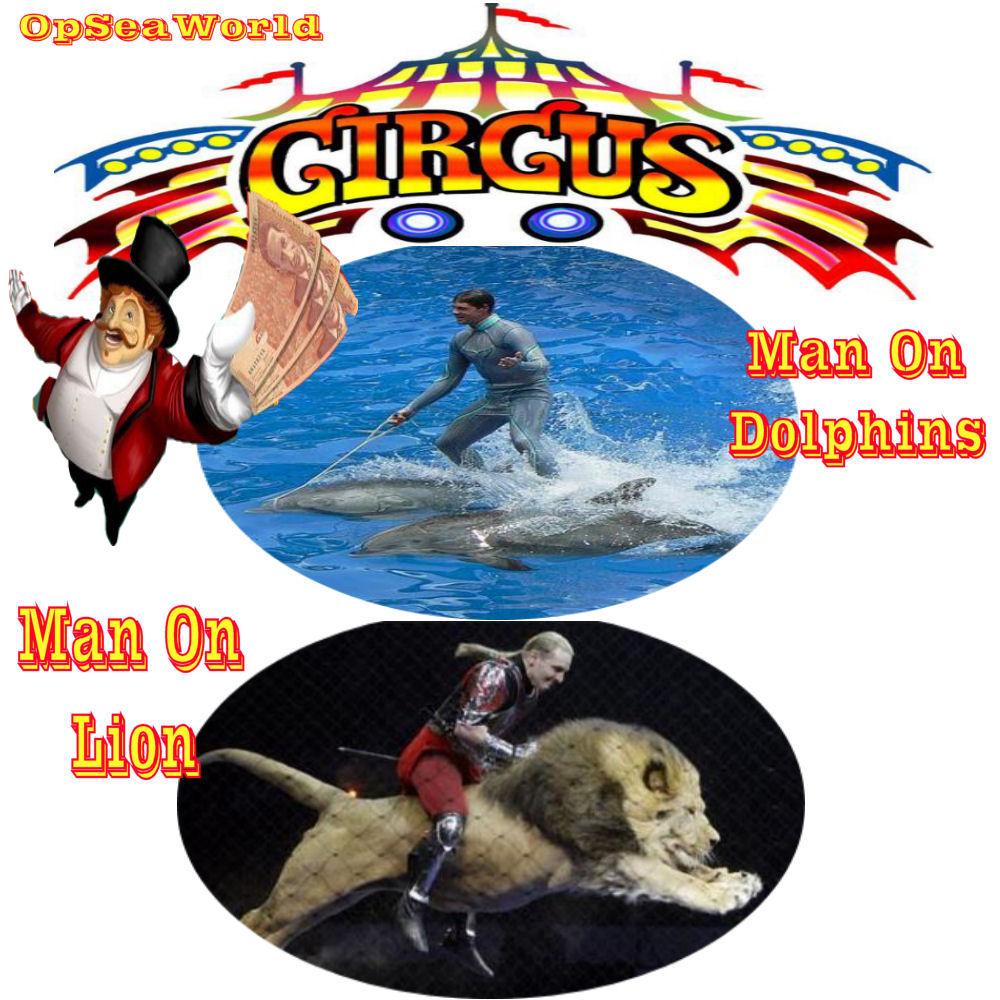 anons4cetaceans's tweet photo. anything goes if they can make a profit #NYSE #SEAS #PoolCircus #OpSeaWorld https://t.co/jpmiLBCj74