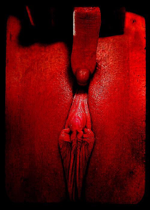 TheLabiaAllure's tweet photo. 🚨Red Alert🚨 #LabiaArt #Beaver #Clit #PussyLips #EroticArt #labia #Pussy #cunnilingus #nsfw #VaginaArt http://t.co/ARrXBm58j8