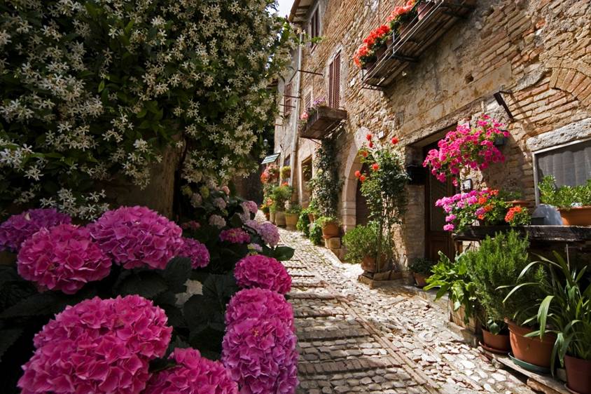 ConsSagrantino's tweet photo. Ancora poche ore per votare #Montefalco #BorgodeiBorghi! Il #webvoting su @KilimangiaroRai termina alle 24 di oggi! http://t.co/ifgLMCzdZK