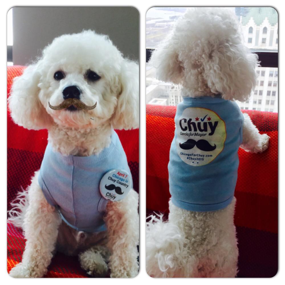 paoli_pt's tweet photo. Chuy Puppy for @garcia4chicago go out and vote April 7th for our next mayor Chuy Garcia! http://t.co/4f1ikrEJCt