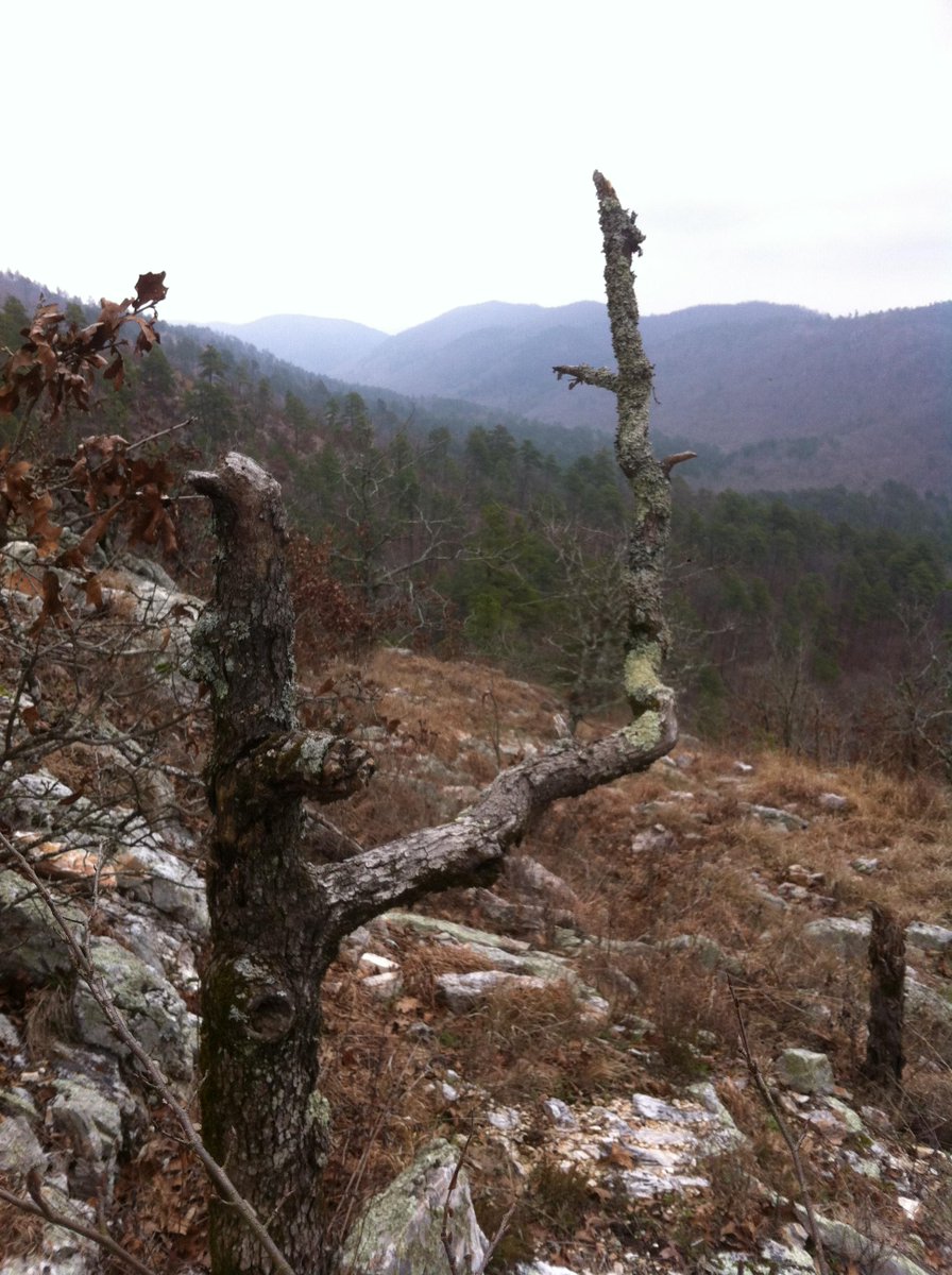 DrakeLeeSparks's tweet photo. Found out Arkansas has a little more to offer than just moonshine and marital jokes this week. @Goetz_Ryan @Hickzach http://t.co/dcUunGRdPg
