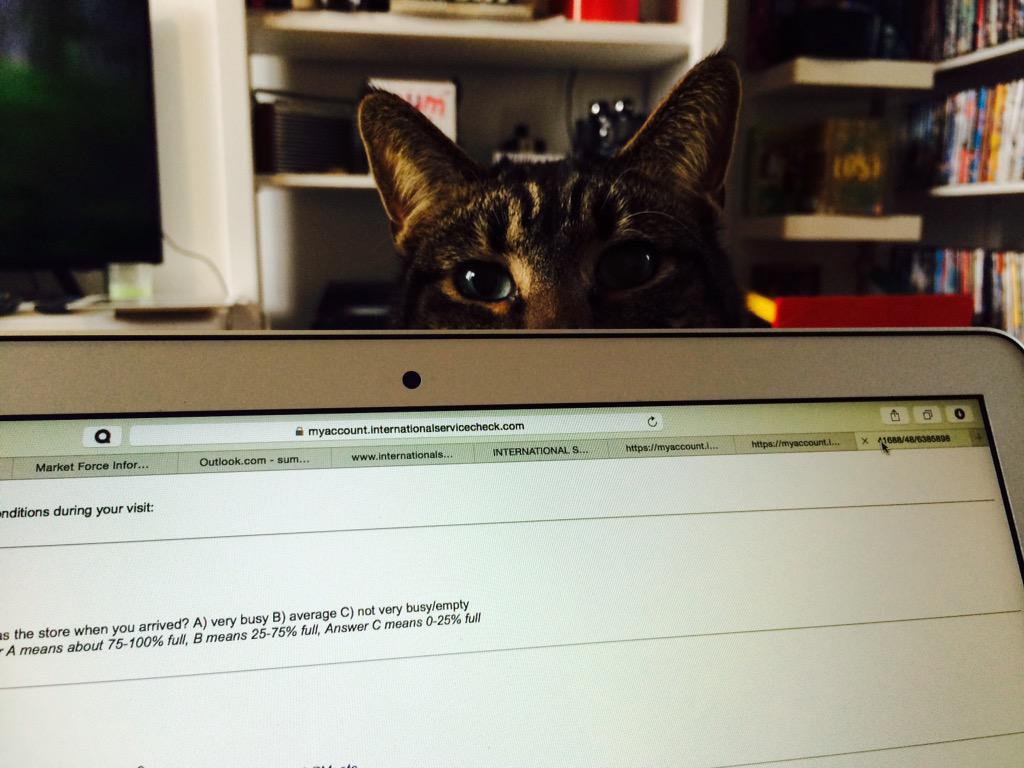 CatsandCuddles's tweet photo. Billie taking a peek #Caturday #london #cats #catlovers #catcafe #Hackney http://t.co/u8z0K48ZsY