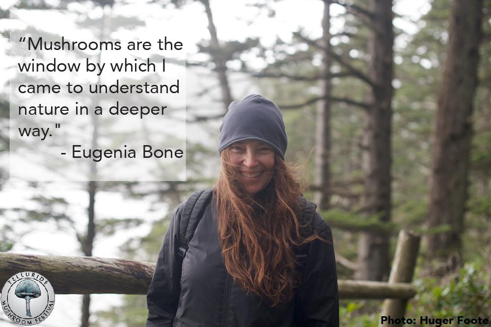 Fantastic Fungi tweet media