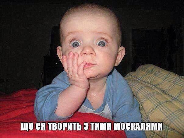 У Евросоюза должен быть запасной план по России, - президент Эстонии Ильвес - Цензор.НЕТ 676