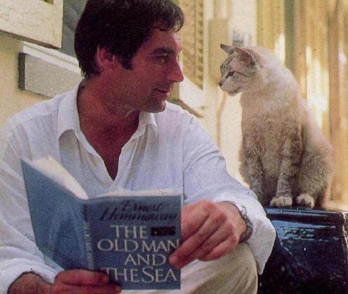 A very Happy Birthday to Timothy Dalton. The best Bond ever !!! 