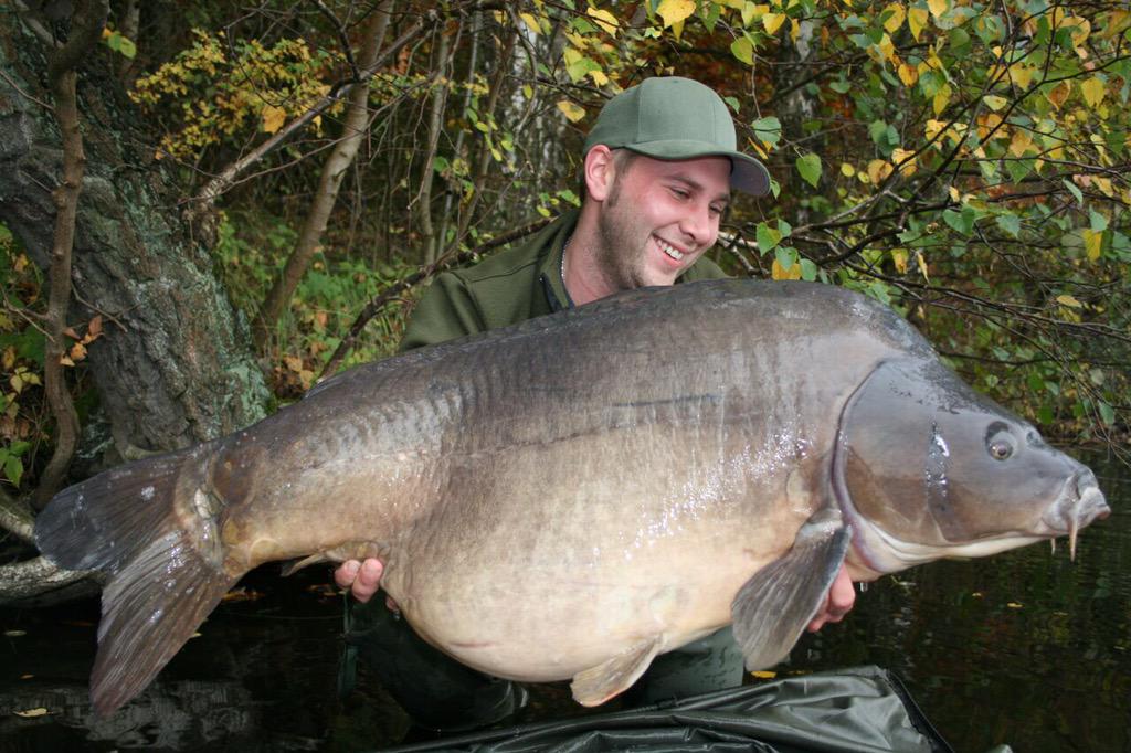 CarpUnitGermany's tweet image. Beauty's from the last two years!#fishing #tightlines #cugbaits #catchandrelease #carpfishing #carp #carpunitgermany