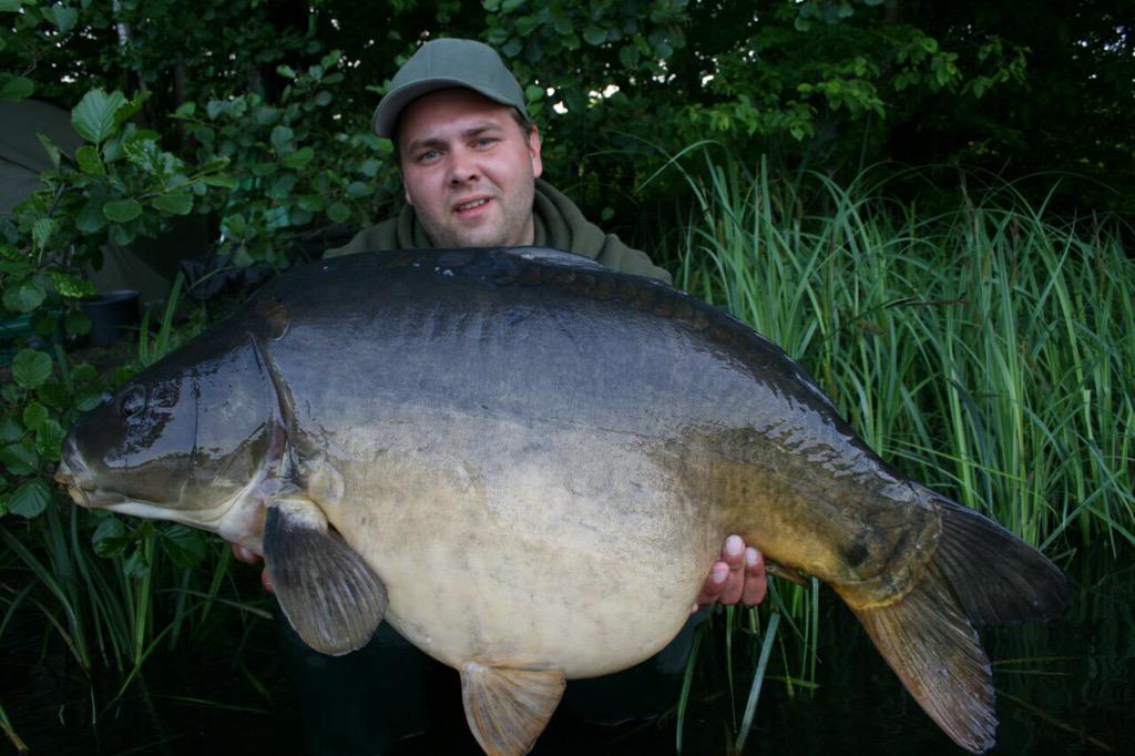 CarpUnitGermany's tweet image. Beauty's from the last two years!#fishing #tightlines #cugbaits #catchandrelease #carpfishing #carp #carpunitgermany