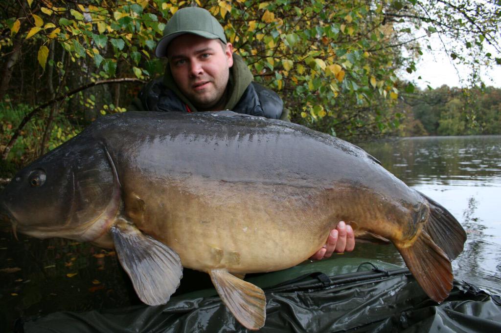 CarpUnitGermany's tweet image. Beauty's from the last two years!#fishing #tightlines #cugbaits #catchandrelease #carpfishing #carp #carpunitgermany