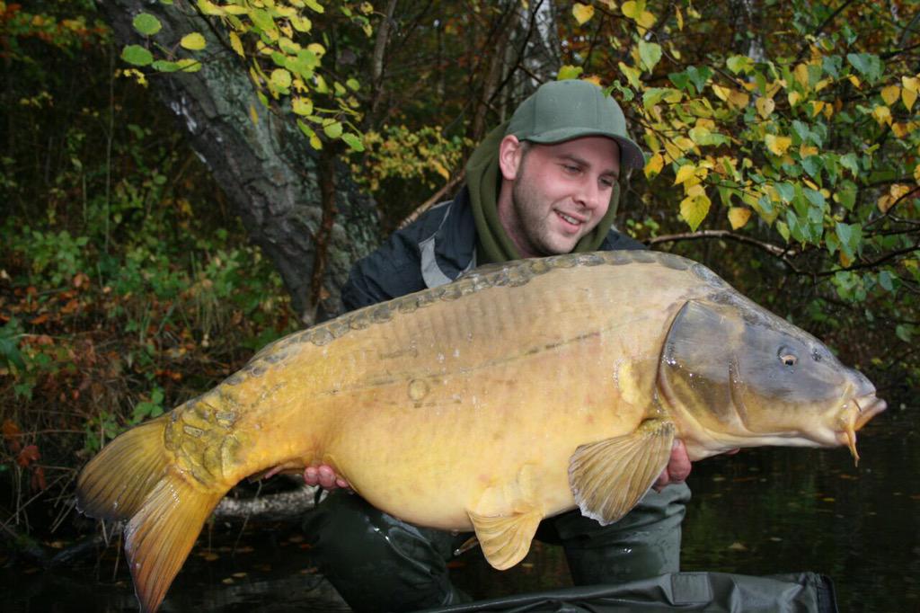 CarpUnitGermany's tweet image. Beauty's from the last two years!#fishing #tightlines #cugbaits #catchandrelease #carpfishing #carp #carpunitgermany