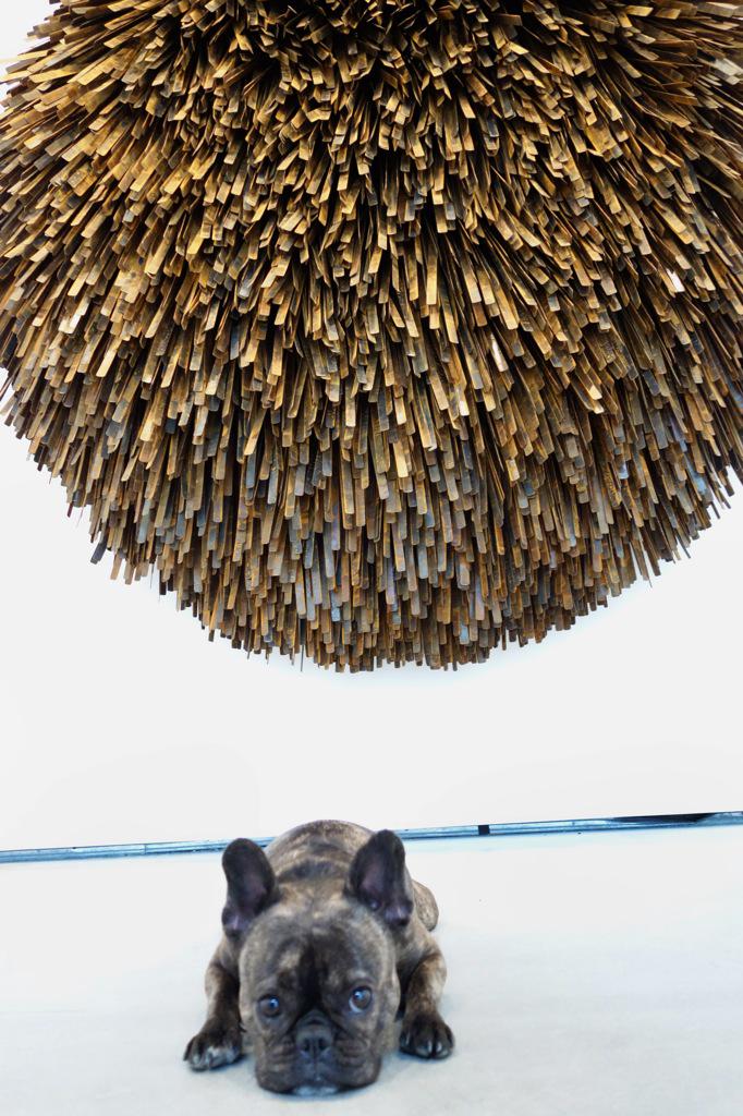picklebeholding's tweet image. It is furry… like me!
Subodh Gupta “Hamid Ka Chimta” @HauserWirth Feb10-Apr25 #PickleBeholding #SubodhGupta