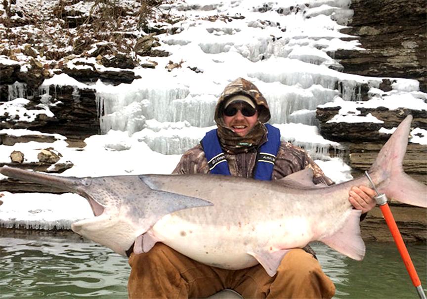 FloridaBassMag's tweet photo. NEW RECORD! - Paddlefish record shattered by 105-pound, 65-inch monster! http://t.co/pxSzmohAjQ http://t.co/x2n1trR2Fa