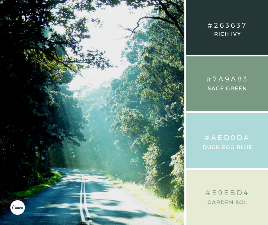 Canva Color Combinations Nature S Tones Try This Fresh Combination In Your Next Design Http T Co Ld3sb1ns3q Twitter
