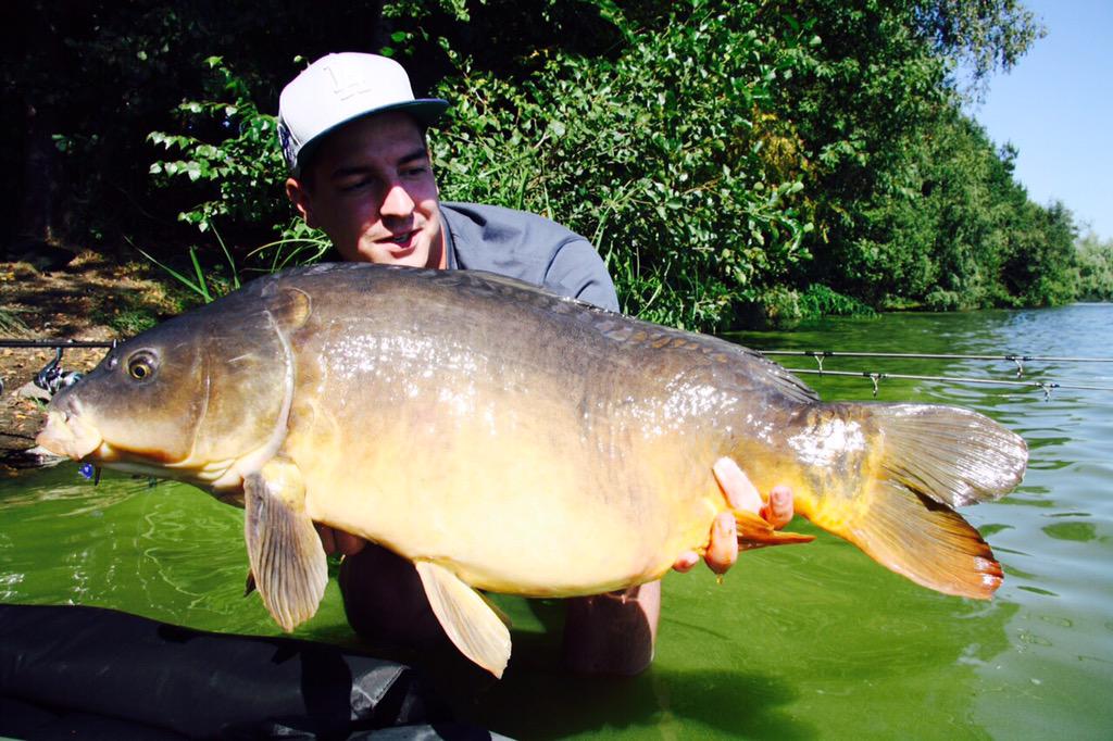 CarpUnitGermany's tweet image. Some catches from our two Teammates Norman and Patrick #carpunitgermany #carpfishing #cugbaits #catchandrelease