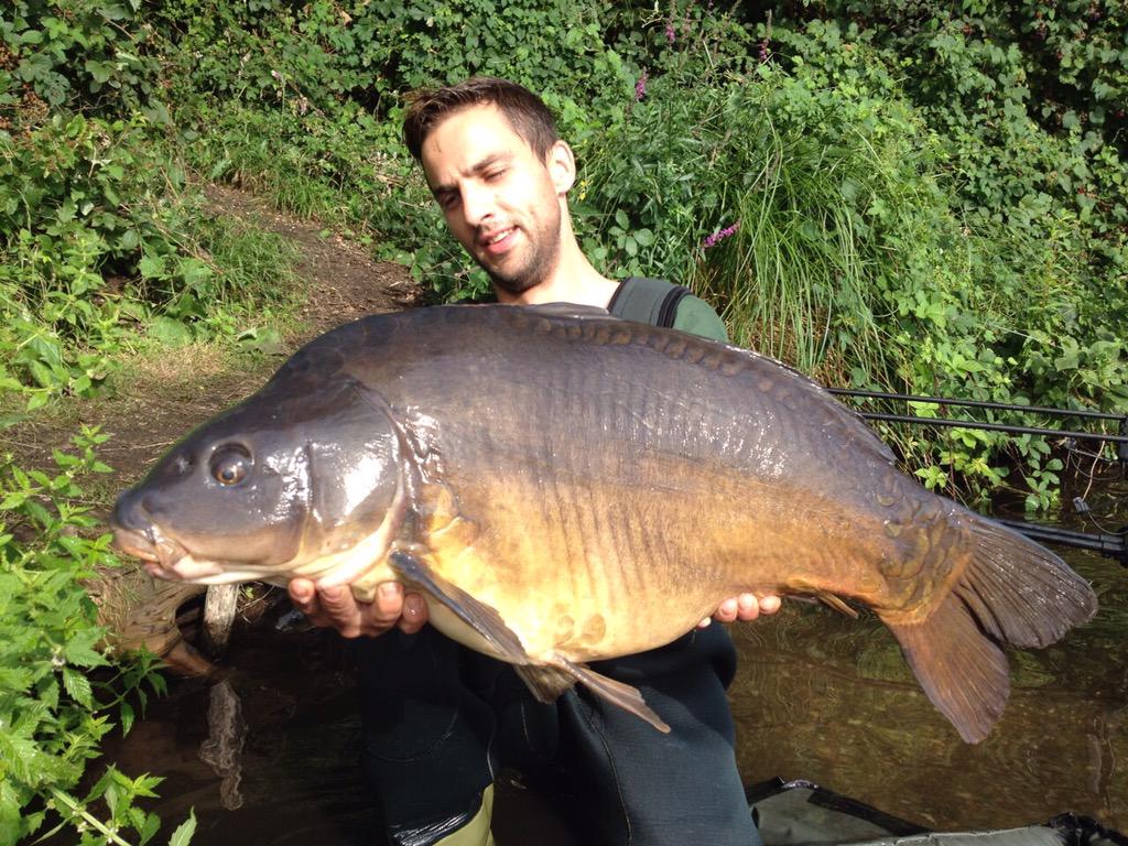 CarpUnitGermany's tweet image. Some catches from our two Teammates Norman and Patrick #carpunitgermany #carpfishing #cugbaits #catchandrelease