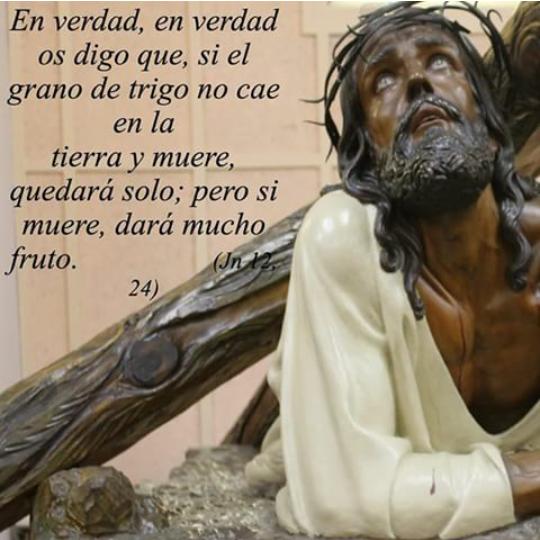 PILARROJAS100's tweet photo. #PalabraDeDios #GloriaYHonorATiSeñorJesus "Sigan mi camino y Jamas nada les faltara" Arrepientanse de #corazon #Amen http://t.co/mBMUMhrOq0