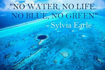 SylviaEarle's tweet image. Our most precious resource, water! Every day is world water day on our blue planet!