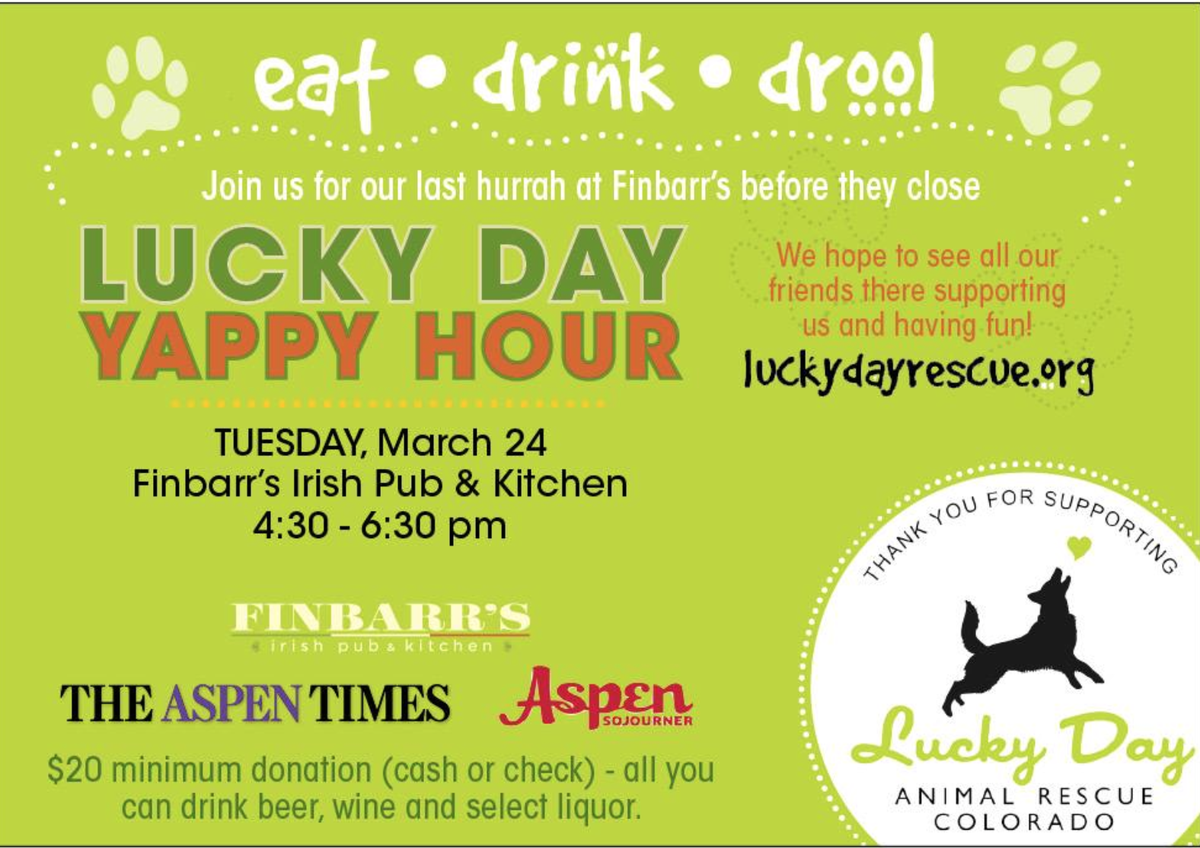 Finbarrs Aspen tweet media