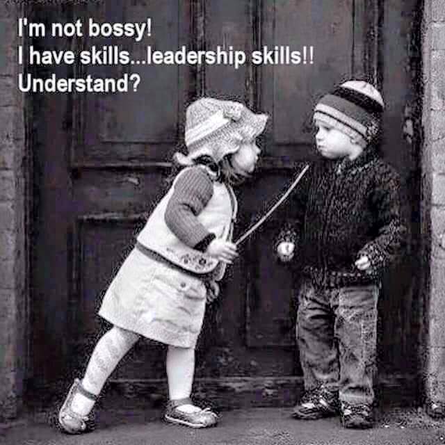 Wholeness Holistics On Twitter I Am Not Bossy I Have Skills