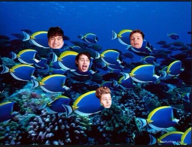 mukehoodx's tweet photo. #5sosDolphinBodies #5sosUpsideDownPizza #5sosBackwardsBanana #5sosAwkwardTurtle #vote5sos #KCA good old times http://t.co/sI2DKU9GMf