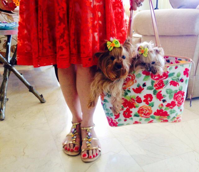 Hello spring with Gigi &amp; Lou Lou!