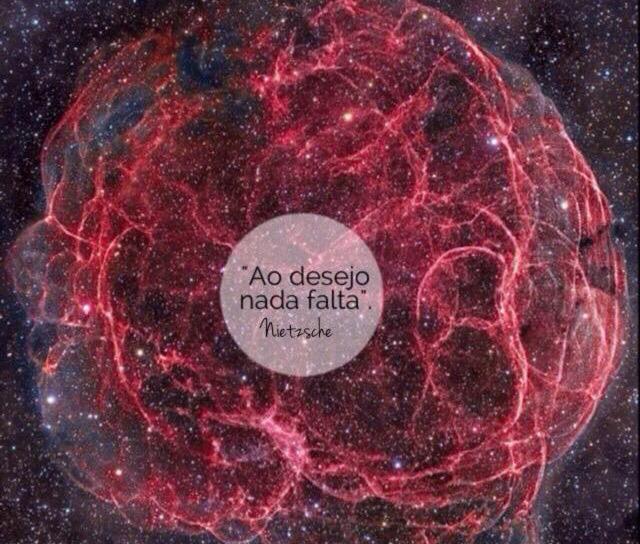 PiGomes tweet picture